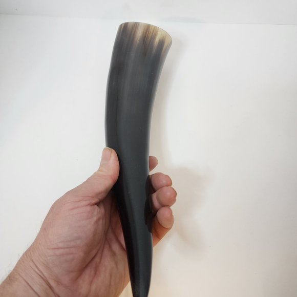 Water Buffalo Horn average 12-15 inch - Picture 5 of 11